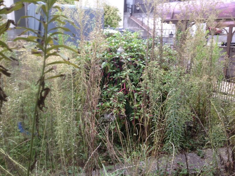 草刈り伐採現場