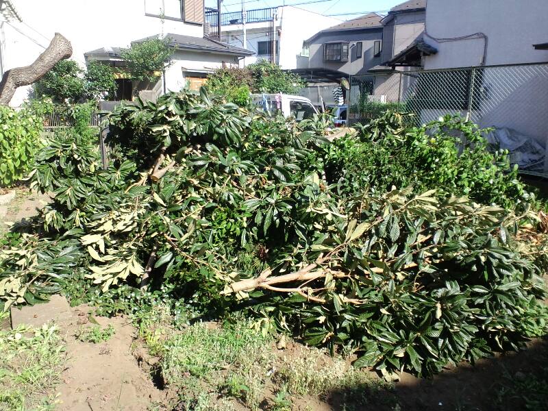 庭木伐採植木枝落し片付け現場